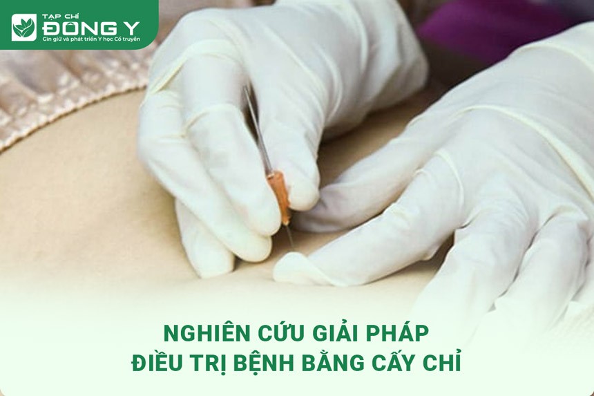 Img Nghien Cuu Giai Phap Dieu Tri Benh Bang Cay Chi 1