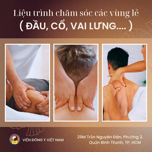 Vien Dong Y Viet Nam
