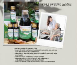 Kd82 Phượng Hoàng